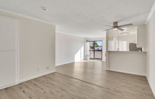 Studio, 1 bath, 500 sqft, $1,795, Unit Unit 205