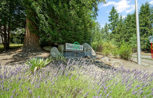 1 Bed 1 Bath Condo for Rent in Sammamish!