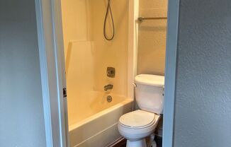 Studio, 1 bath, 390 sqft, $1,350, Unit 10110