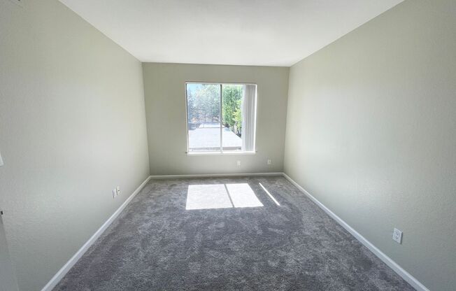 1 bed, 1 bath, $2,300