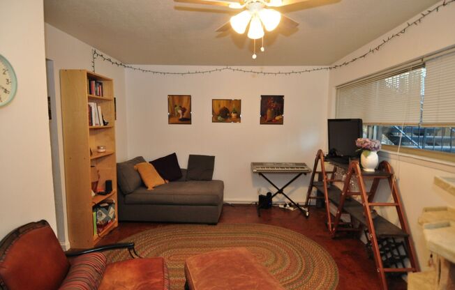 Wonderful 1 bedroom condo located at a walking distance to UT and Pease Park!