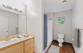 a bathroom with a sink and a toilet and a shower