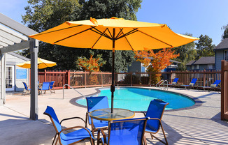 our patio with a pool and chairs and an umbrella