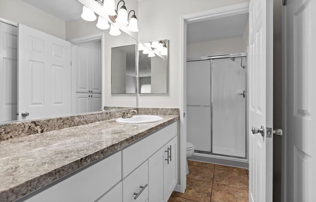 a bathroom with a sink and a toilet