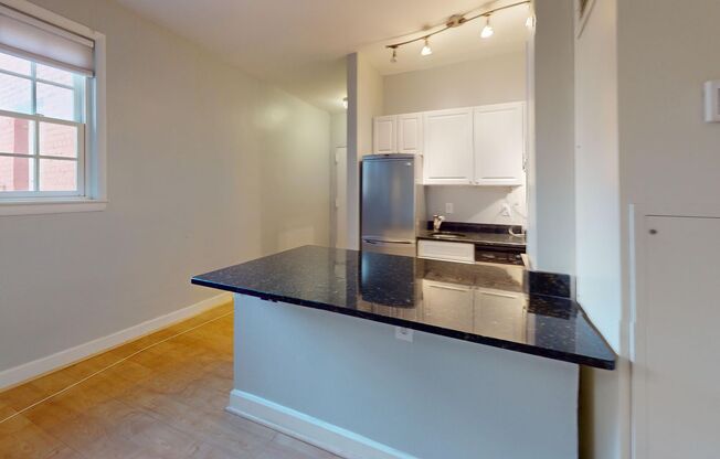 Capitol Hill Studio Apartment for Rent! Available Now!