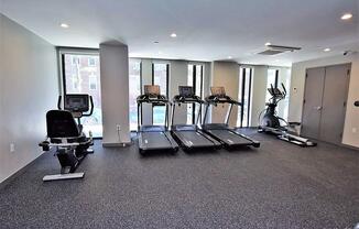 1 bed, 1 bath, 565 sqft, $3,154, Unit 3C