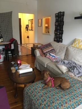 1 bed, 1 bath, 500 sqft, $1,395, Unit 301
