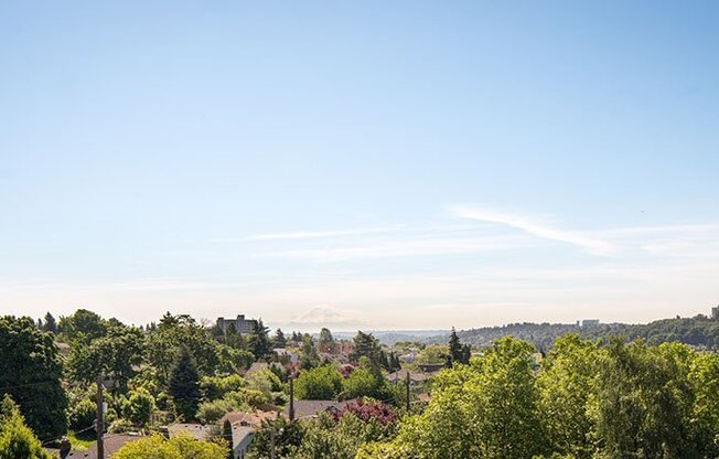 1 bed, 1 bath, 535 sqft, $1,895, Unit 205