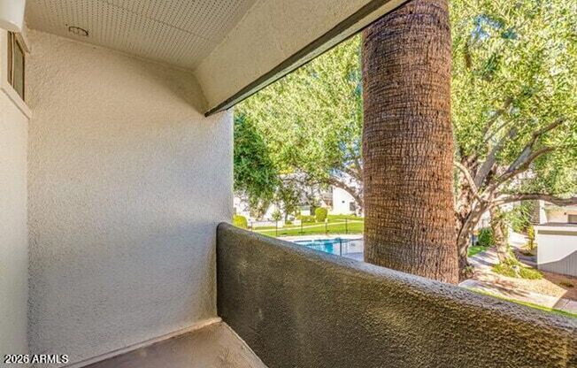 1 bed, 1 bath, $1,195, Unit MV C 8