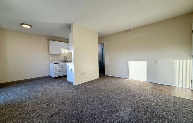 1 bed, 1 bath, 520 sqft, $1,299, Unit 20