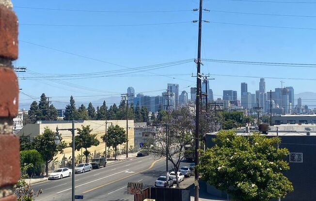 3212 Main Street Apartments - Spacious with Beautiful DTLA Views