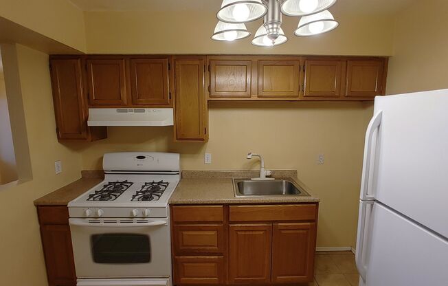 Studio, 1 bath, 400 sqft, $695, Unit Unit 20