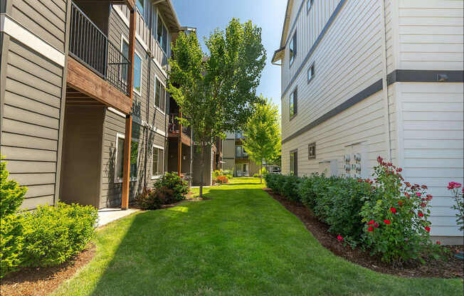 A sunny day at a residential area with apartment buildings and greenery at Forestplace Apartment Homes, Forest Grove, 97116