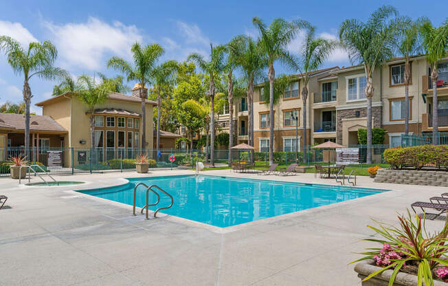 A swimming pool surrounded by palm trees and apartment buildings.