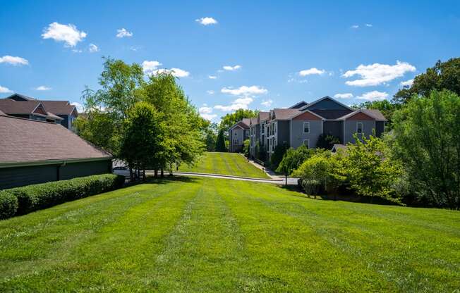 Lush Green Grass Throughout The Community