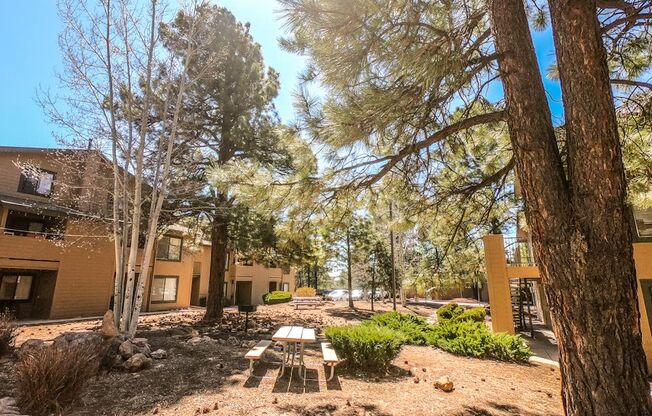 Picnic Area at University West Apartments in Flagstaff AZ 2021