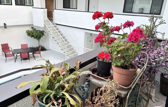 8568 Burton Way Apt 103