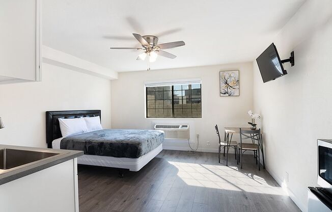 Studio, 1 bath, 126 sqft, $1,595, Unit 205
