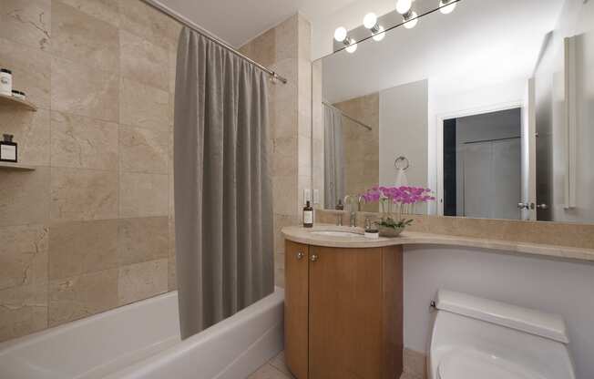 1 bed, 1 bath, 558 sqft, $4,275, Unit 511