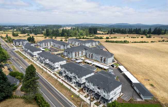 A large housing development with multiple houses and a road running through it.