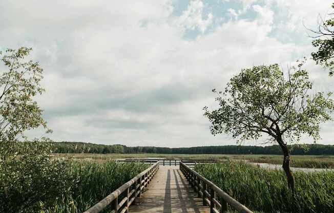 A wooden boardwalk leads through a marshy area.