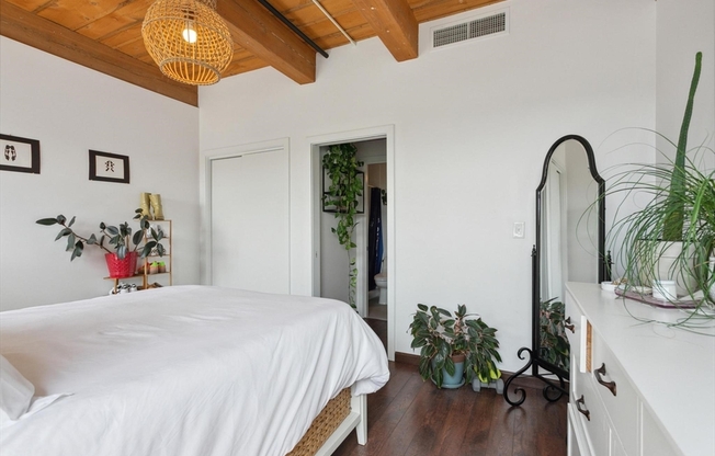 1 bed, 1 bath, 732 sqft, $3,500, Unit 216
