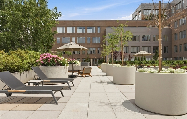1 bed, 1 bath, 917 sqft, $4,500, Unit 414