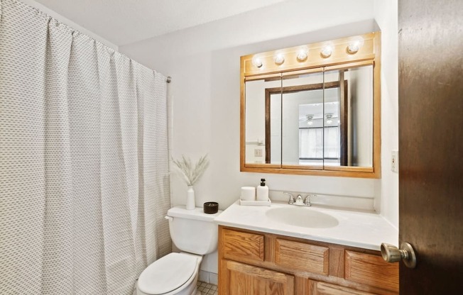 a bathroom with a toilet and a sink and a mirror