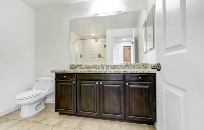 a bathroom with a toilet and a sink and a mirror