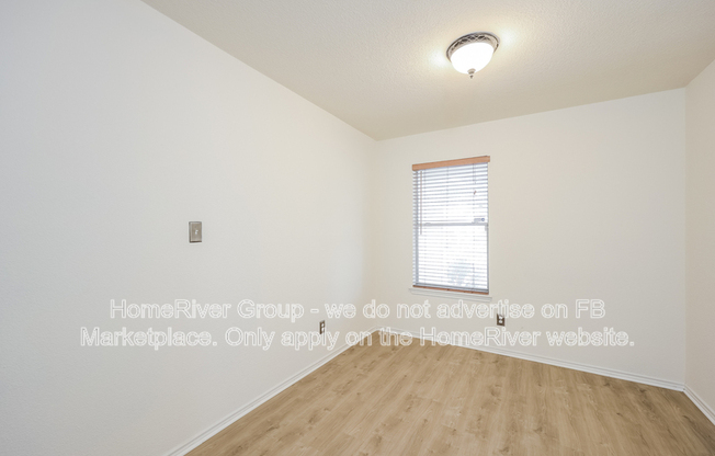 14211 YELLOW WARBLER