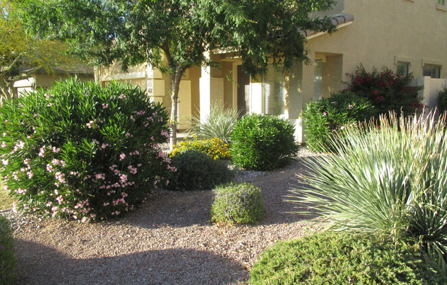 Beautiful Gilbert Home w/2 Master Bedrooms - Gated Community On Golf Course