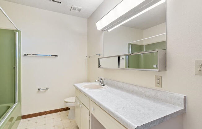 a bathroom with a sink and a toilet