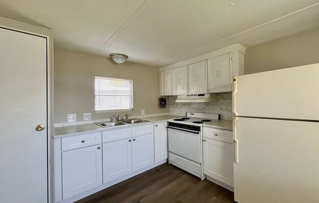 2 Bed 2 Bath Thonotosassa! New paint throughout, new flooring, new kitchen counters & cabinets! Ready for you to MOVE-IN