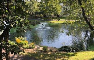 Beautiful Landscaping With Ponds & Fountains