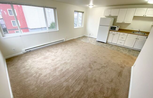 1 bed, 1 bath, 475 sqft, $1,250, Unit 207