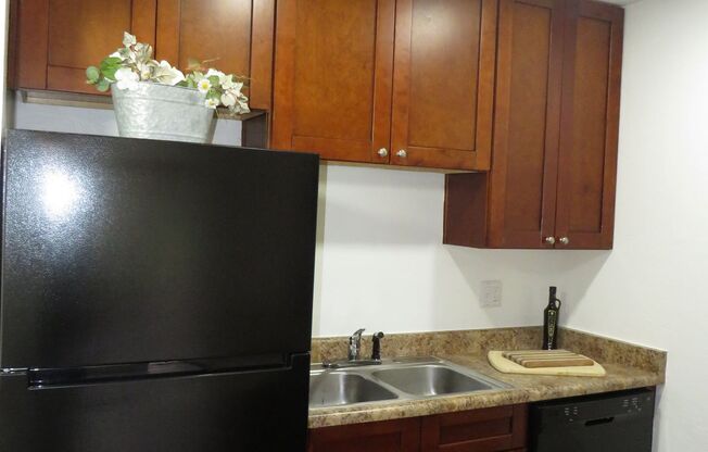 Studio, 1 bath, 413 sqft, $879, Unit 370