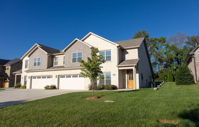 Luxury Living at Its Finest In Sango Featuring An Open Floor Plan, Fireplace and Resort Style Primary Bathroom