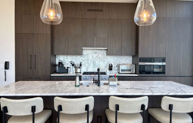 Furnished Luxury Downtown Rental