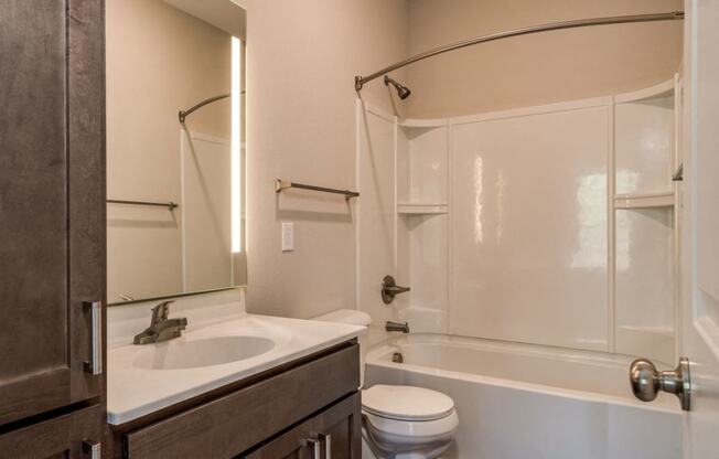 Bathroom (Premier Floor Plan) at Emerald Creek Apartments, Greenville