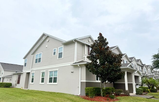 Spacious and Bright Townhome at Vineyards of Horizon West, Windermere