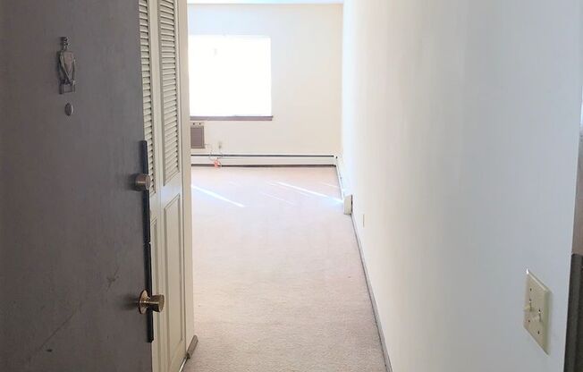 Spacious 1bedroom apartment - HEAT INCLUDED!