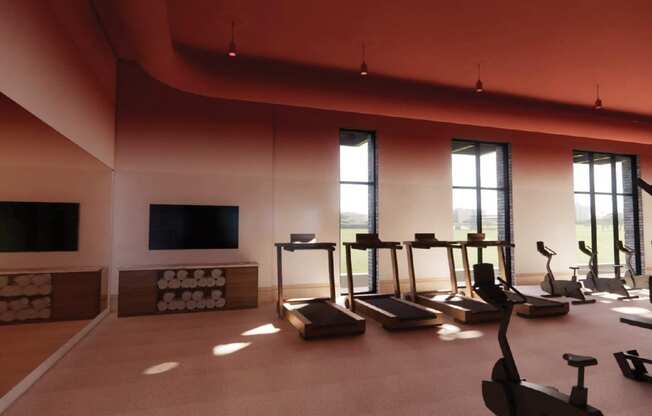 a gym with weights and a tv in a room