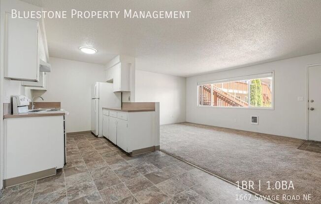 1667 SAVAGE RD NE
