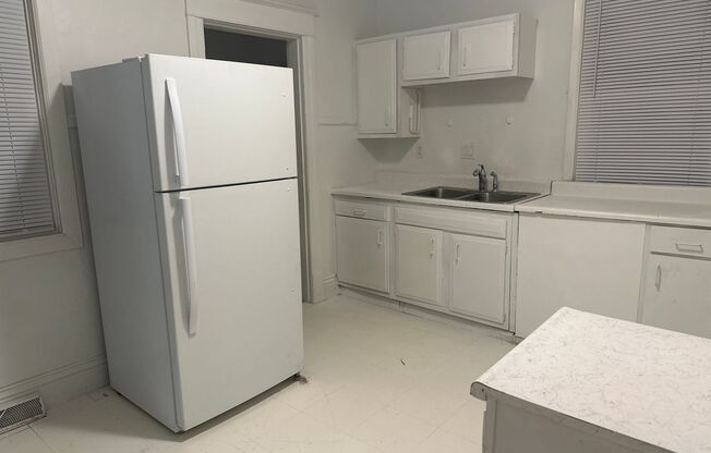 Newly renovated south side 3 BR/2BA located near downtown!