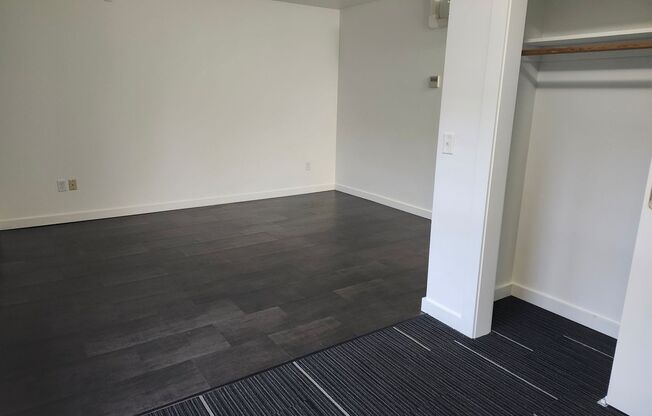 Studio, 1 bath, 399 sqft, $1,249, Unit 203