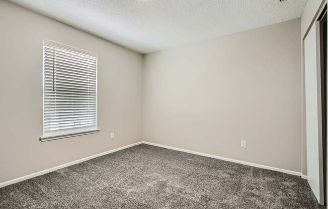A room with a carpeted floor and a window with blinds.
