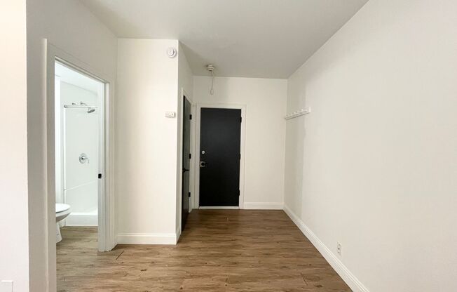 Studio, 1 bath, 249 sqft, $925, Unit 205