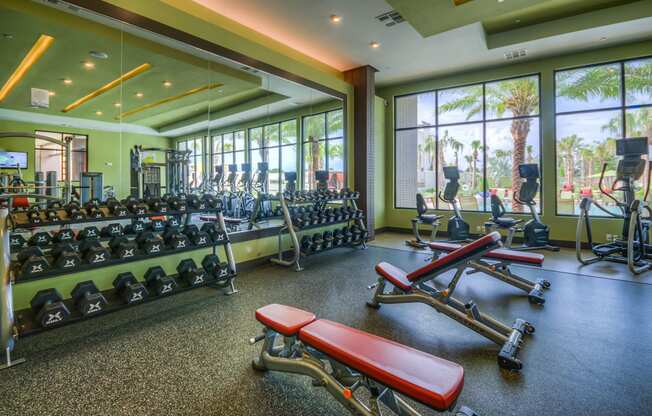 Fitness Center at The Strand Apartments in Oviedo, FL