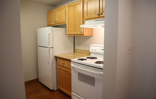 Vancouver Center 1 Bedroom Condo w/ Park Views for Lease - 701 Columbia St #305