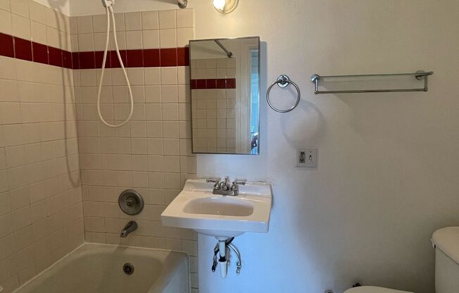 Studio, 1 bath, 387 sqft, $1,595, Unit 303